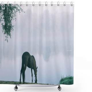 Personality  Beautiful Black Horse Grazing On Green Pasture In Altai, Russia  Shower Curtains