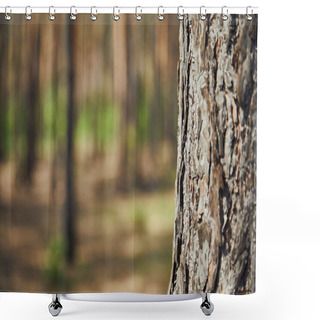 Personality  Close Up View Of Textured Tree In Forest With Copy Space Shower Curtains