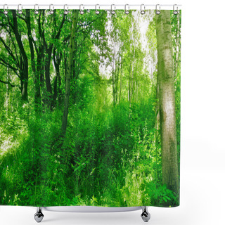 Personality  Spring Forest In The Sunny Afternoon Shower Curtains