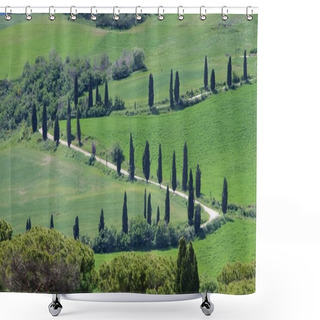 Personality  Tuscany Cypress Trees With Track Shower Curtains