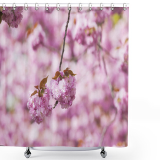 Personality  Pink Cherry Blossoms Shower Curtains