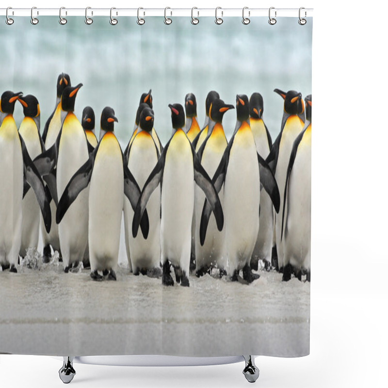 Personality  Group Of King Penguins Shower Curtains