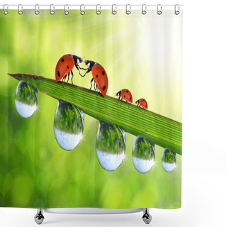 Personality  Love Ladybug Sitting On The Dewy Grass Shower Curtains