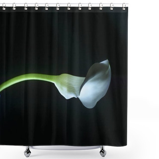 Personality  Beautiful Calla Lily Flower Isolated On Black  Shower Curtains