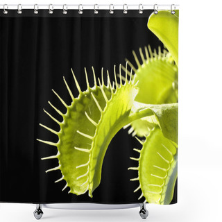 Personality  Closeup View Of Insect At Nature Shower Curtains