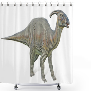 Personality  Close Up Of Parasaurolophus Dinosaur Shower Curtains