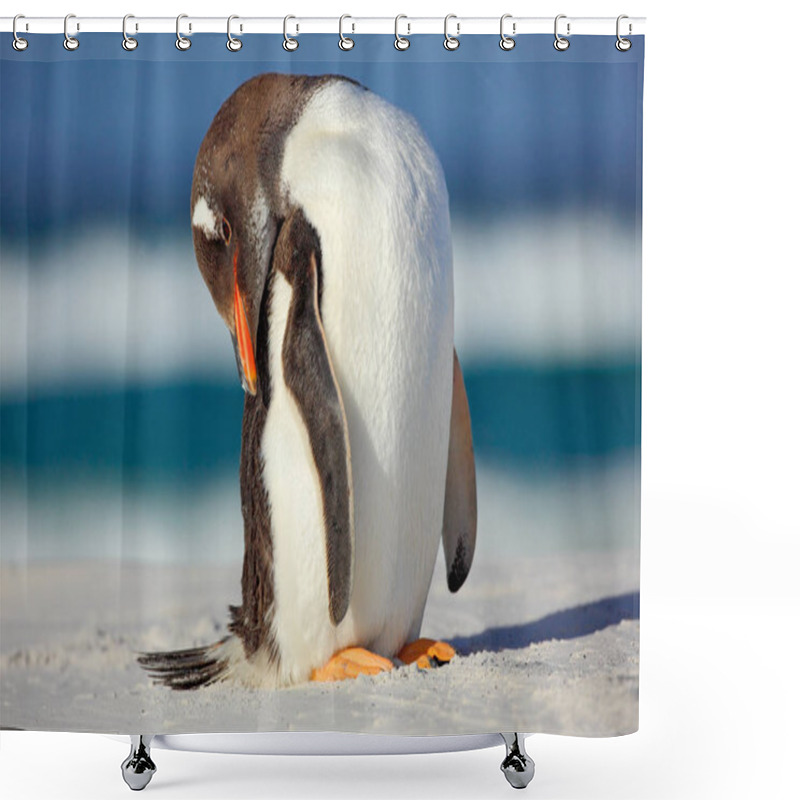 Personality  Gentoo Penguin On The White Beach  Shower Curtains