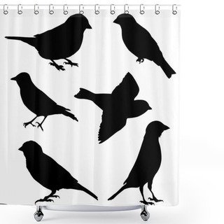 Personality  Set Of Vector Images Sparrow Shower Curtains