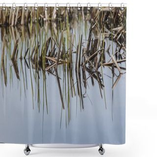 Personality  Weeds In Marshland Shower Curtains