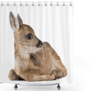 Personality  Roe Deer Fawn - Capreolus Capreolus (15 Days Old) Shower Curtains