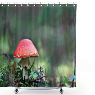 Personality  Red Fly Agaric Shower Curtains