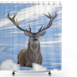 Personality  Deer On The Snow Background Shower Curtains