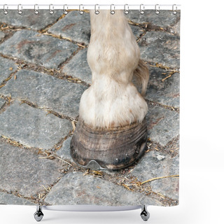 Personality  Foot And Hoof White Horse Shower Curtains