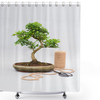 Personality  Bonsai On A Light Gray Background With Scissors To Care For Indoor Plants. Shower Curtains