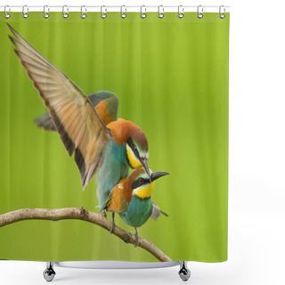 Personality  Pair Of European Bee Eaters Mating Shower Curtains