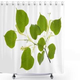 Personality  Single Twig With Leaves Of Linden Tree And Blooming Pollen Isola Shower Curtains