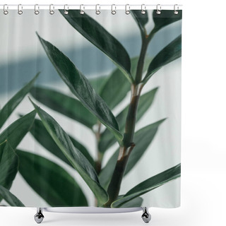 Personality  Green Potted Plant At Room Shower Curtains