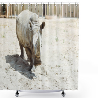 Personality  Wild Rhinoceros Walking In Zoo In Summertime  Shower Curtains