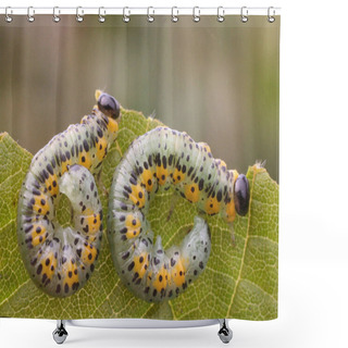 Personality  Caterpillar Worm, Nature Insect  Shower Curtains