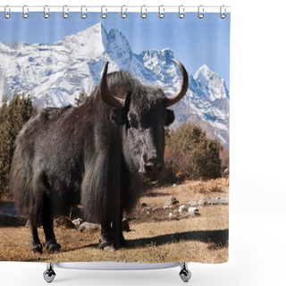 Personality  Black Yak And Mount Kongde Shower Curtains