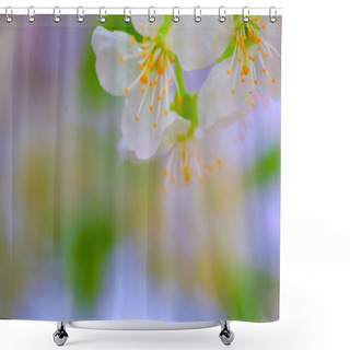 Personality  Blurred Delicate Background. Floral Blurred Background. Multicolor Spring. Flora Background. Floral Background For Happy Birthday Greeting Card, March 8, Teacher's Day. Shower Curtains