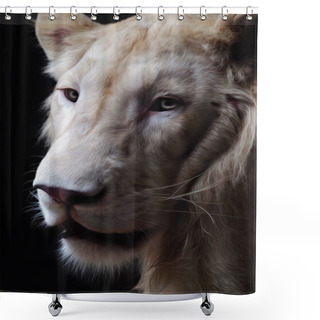 Personality  Oil Painting Lion Shower Curtains