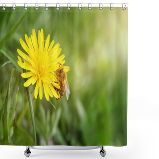 Personality  Bee Sip Nectar From Yellow Flower Shower Curtains