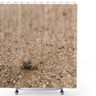 Personality  Selective Focus Of Snail Crawling On Ground Outside  Shower Curtains