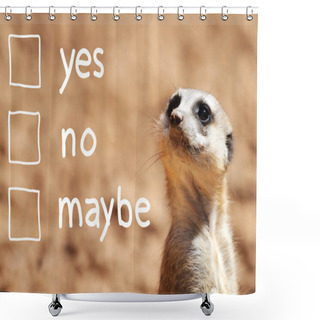 Personality  African Suricate Making Decision Shower Curtains