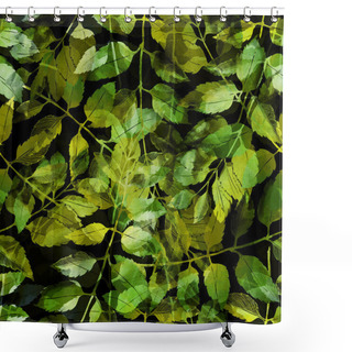 Personality  Leaves: Botanical Pattern Shower Curtains