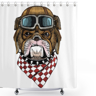 Personality  Bulldog, Dog. Portrait Of Cute Animal. Vintage Aviator Helmet With Googles. Shower Curtains