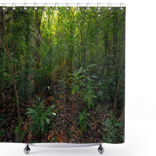 Personality  Jungle Shower Curtains