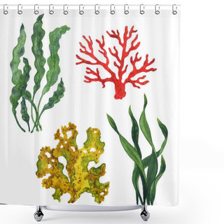 Personality  Set Of Isolated Watercolor Corals And Algae. Handmade Watercolor Illustration On White Background. Shower Curtains