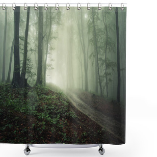 Personality  A Road Through A Forest With Fog With Rain Shower Curtains