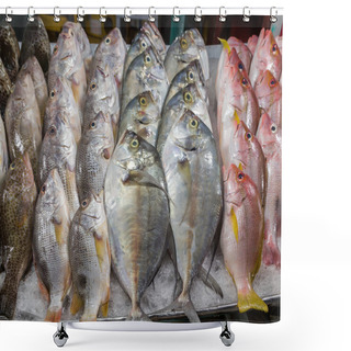 Personality  Fishes Seafood In Market Shower Curtains