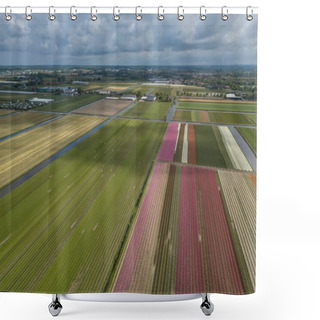 Personality  Beautiful Tulip Flowers Grow In Rural Field Of Horthern Holland,Netherlands Shower Curtains