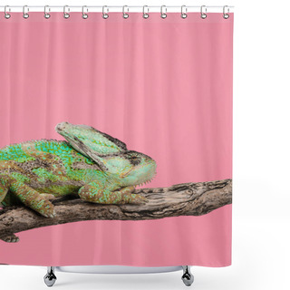 Personality  Beautiful Exotic Chameleon Sitting On Tree Branch Isolated On Pink Shower Curtains