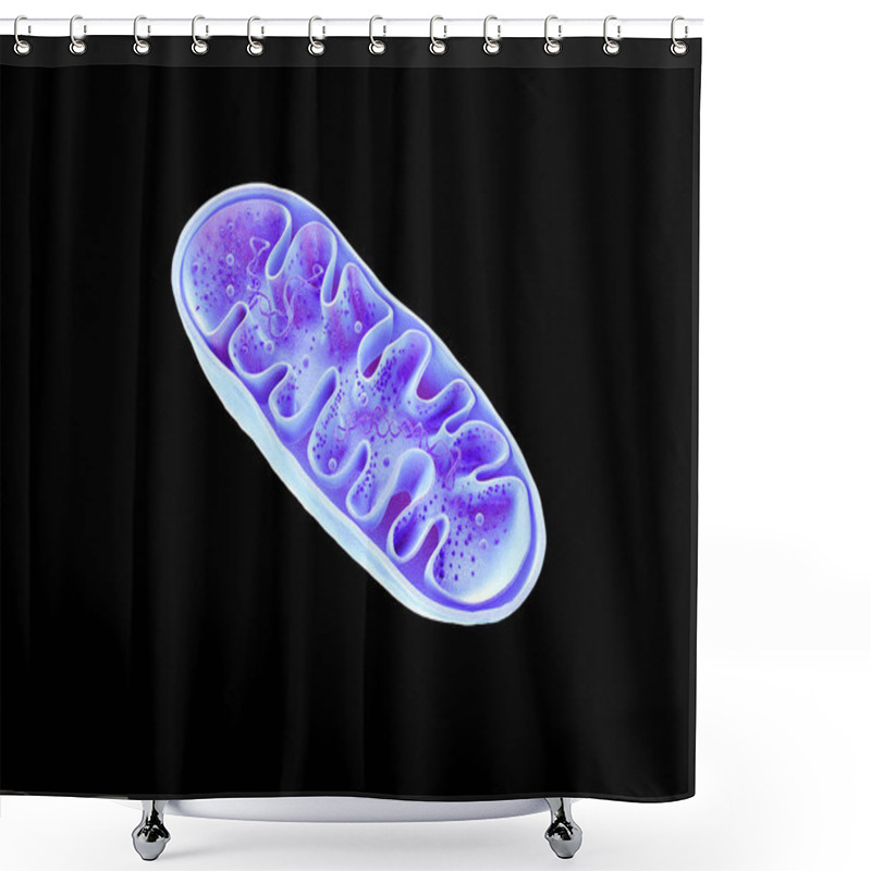 Personality  Mitochondria, Cellular Organelles, Produce Energy, Cell Energy And Cellular Respiration, DNA, 3D Rendering Shower Curtains