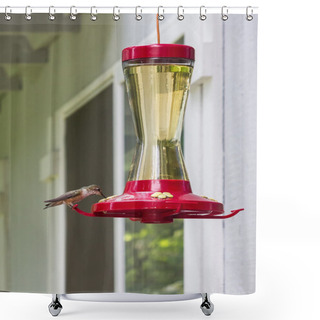 Personality  Little Bird On A Hummingbird Feeder Shower Curtains