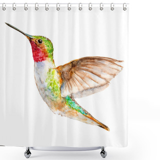 Personality  Hummingbird Flying, Watercolor Sketch, Vector Illustration. Shower Curtains