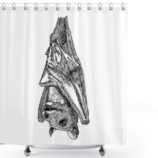 Personality  Stylized Hand Drawing Bat Sketch Shower Curtains
