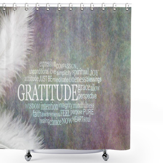 Personality  Angelic GRATITUDE Word Cloud Rustic Banner  - Two White Feathers With A GRATITUDE Word Cloud Between Against A Dark Stone Effect Multicoloured Rustic Grunge Background Shower Curtains