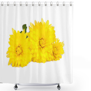 Personality  Chrysanthemum Yellow Flowers Isolated On The White Shower Curtains