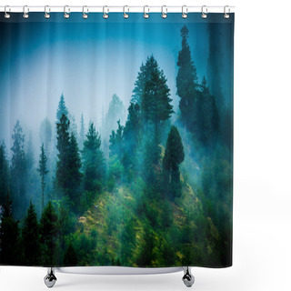 Personality  Fog In The Morning Forest Shower Curtains