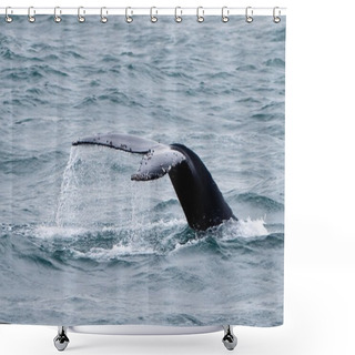 Personality  Whale Tail Shower Curtains