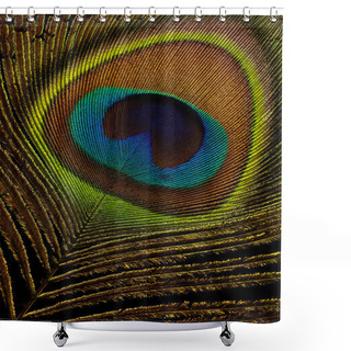 Personality  Peacock Feather On Black Background Macro Closeup Shower Curtains