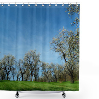 Personality  Blossoming Trees In Spring In Rural Scenery With Deep Blue Sky Shower Curtains