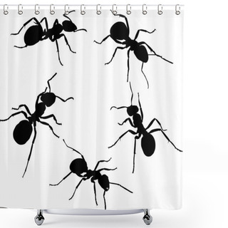 Personality  Five Isolated Ant Silhouettes Shower Curtains