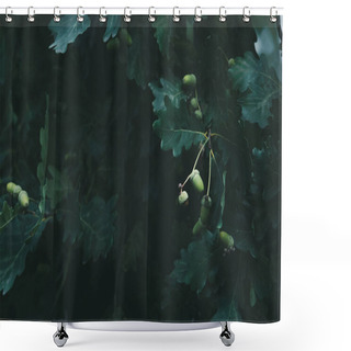 Personality  Close-up Shot Of Green Oak Branches With Acorns Shower Curtains