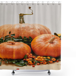 Personality  Close Up Of Autumnal Decoration With Pumpkins And Pyracantha Berries On Table Shower Curtains